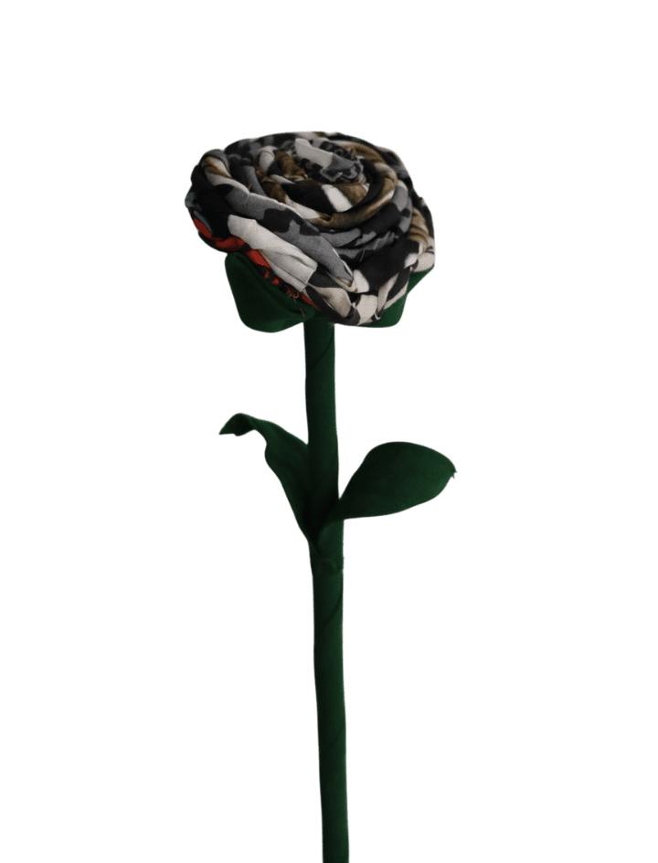1 Fig 7